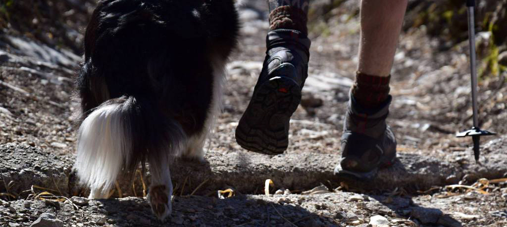 Le gambe sono fatte per andare…